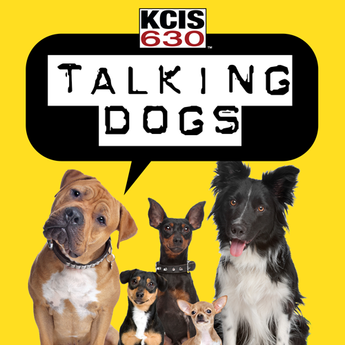 KCIS Talking Dogs